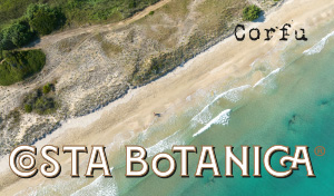 01-grecotel-costa-botanica-all-inclusive-resort-in-corfu