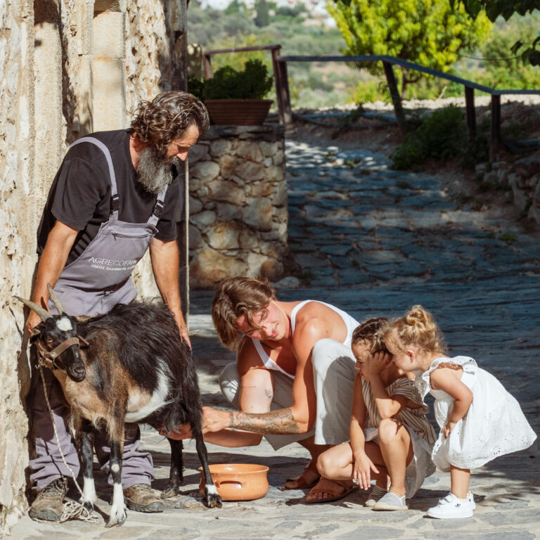Farmer for a day experience at Agreco Farm Crete