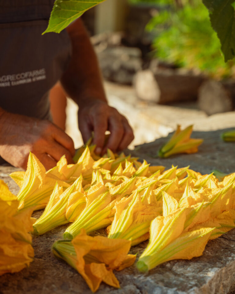 Agreco Farm Taverna rural experience in Crete Island