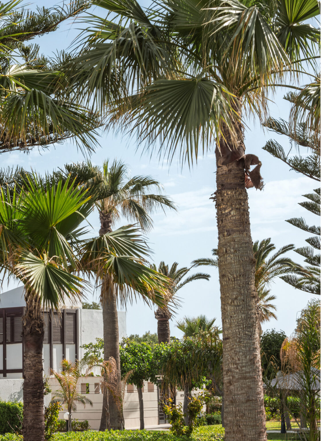 Deluxe family bungalow with garden view at Grecotel Creta Palace