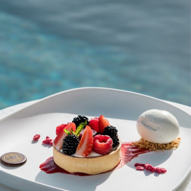 Gourmet dessert with fresh berries and sorbet at Brasserie Ariadne
