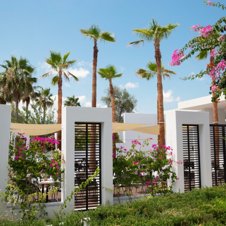 White courtyard with palm trees, flowering shrubs, and outdoor seating.