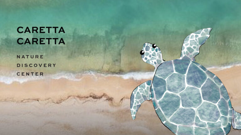 Nature Discovery Centre at Grecotel Creta Palace highlighting the Caretta Caretta sea turtle and Crete’s coastal ecosystem.