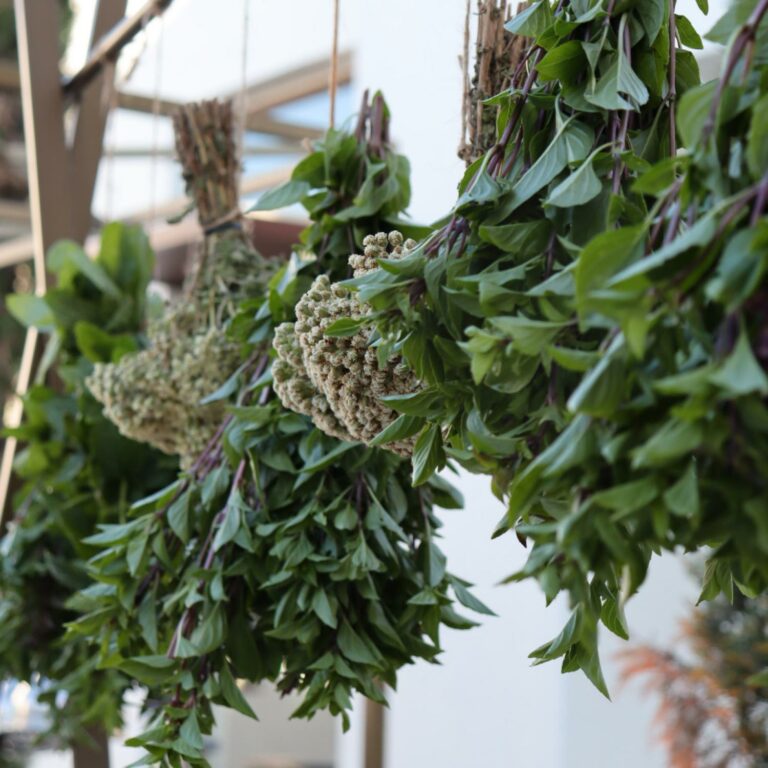 Village square heart of the resort experience at Grecotel Creta Palace