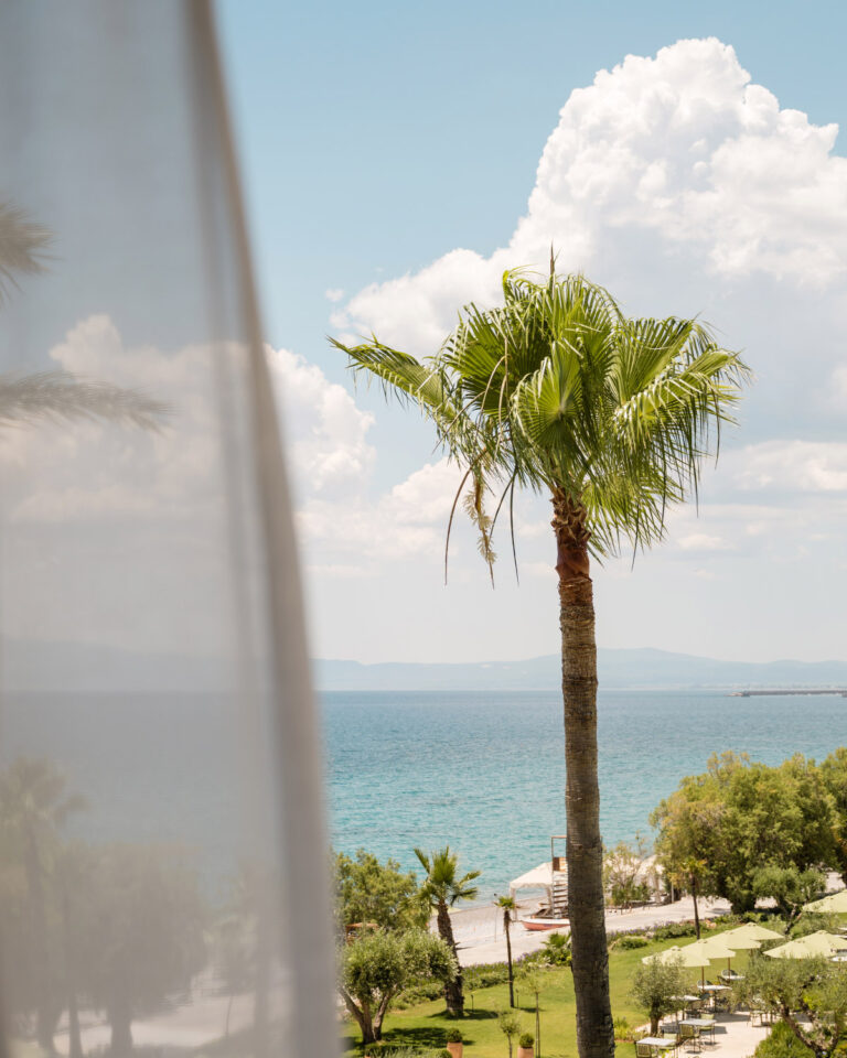 Sea view from the Deluxe Suite overlooking palm trees and the coast