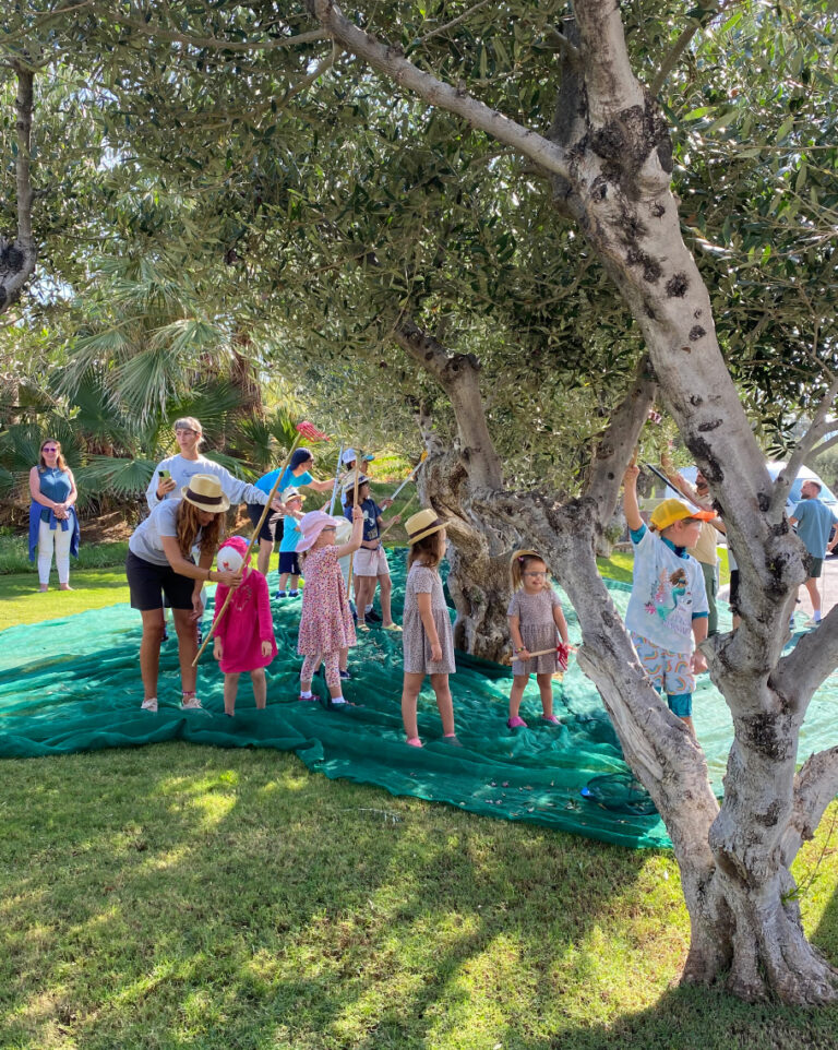 Kids go free offer at Filoxenia Kalamata
