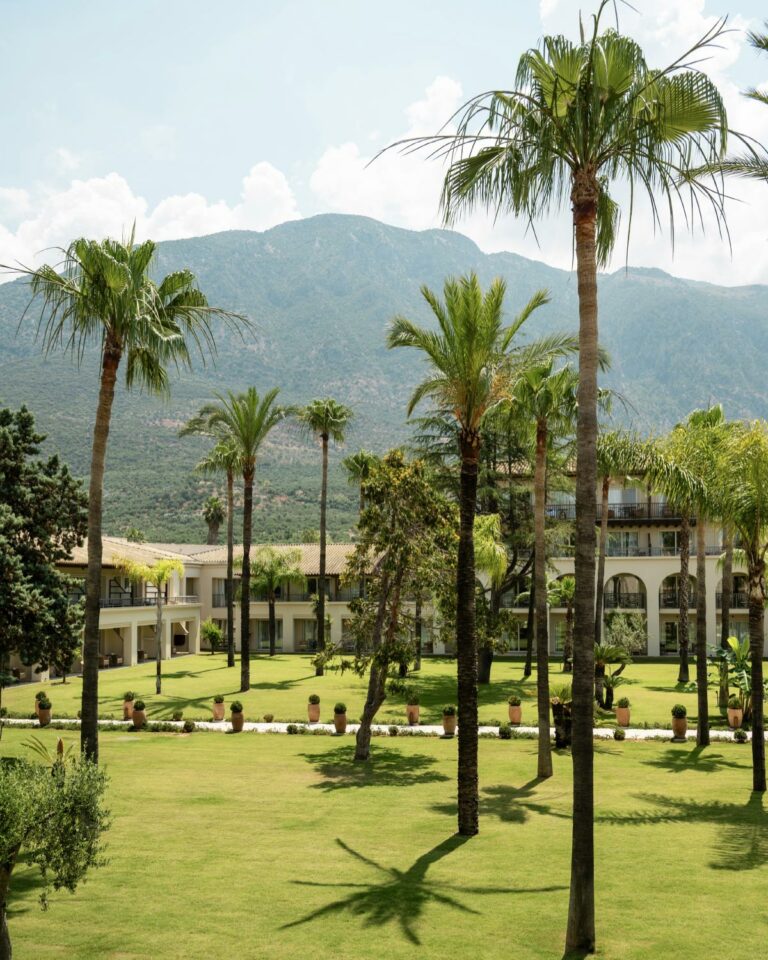 Palm gardens surrounding Filoxenia Kalamata
