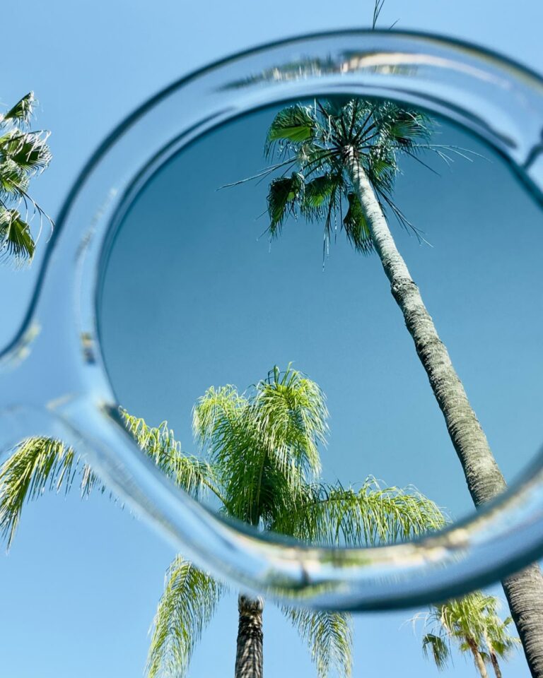 Palm gardens at Filoxenia Kalamata