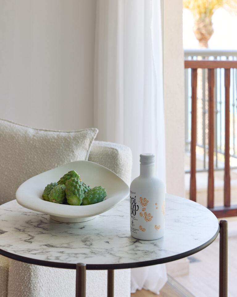 Interior design details of the Deluxe Suite with sea view