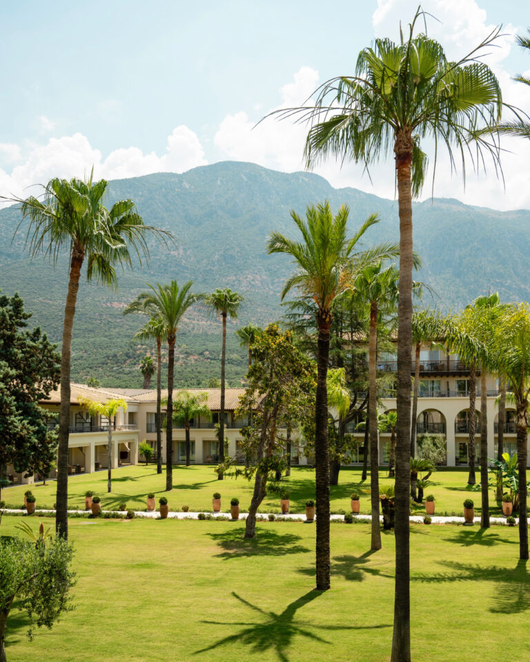 Greek hospitality experience at Filoxenia Kalamata