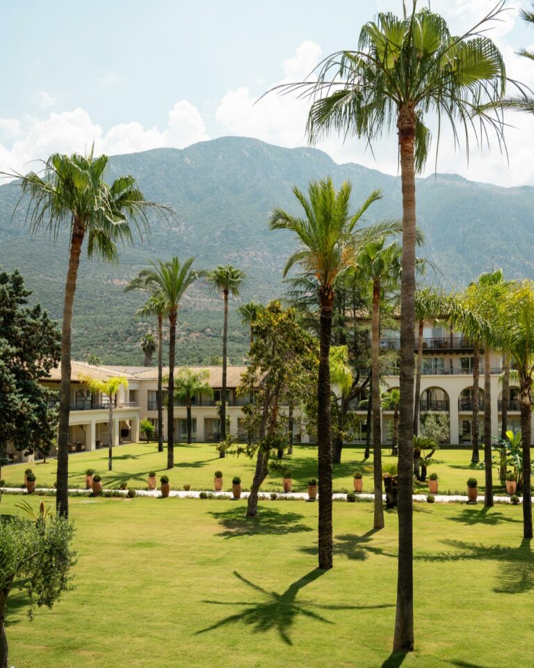 Palm gardens at Filoxenia Kalamata