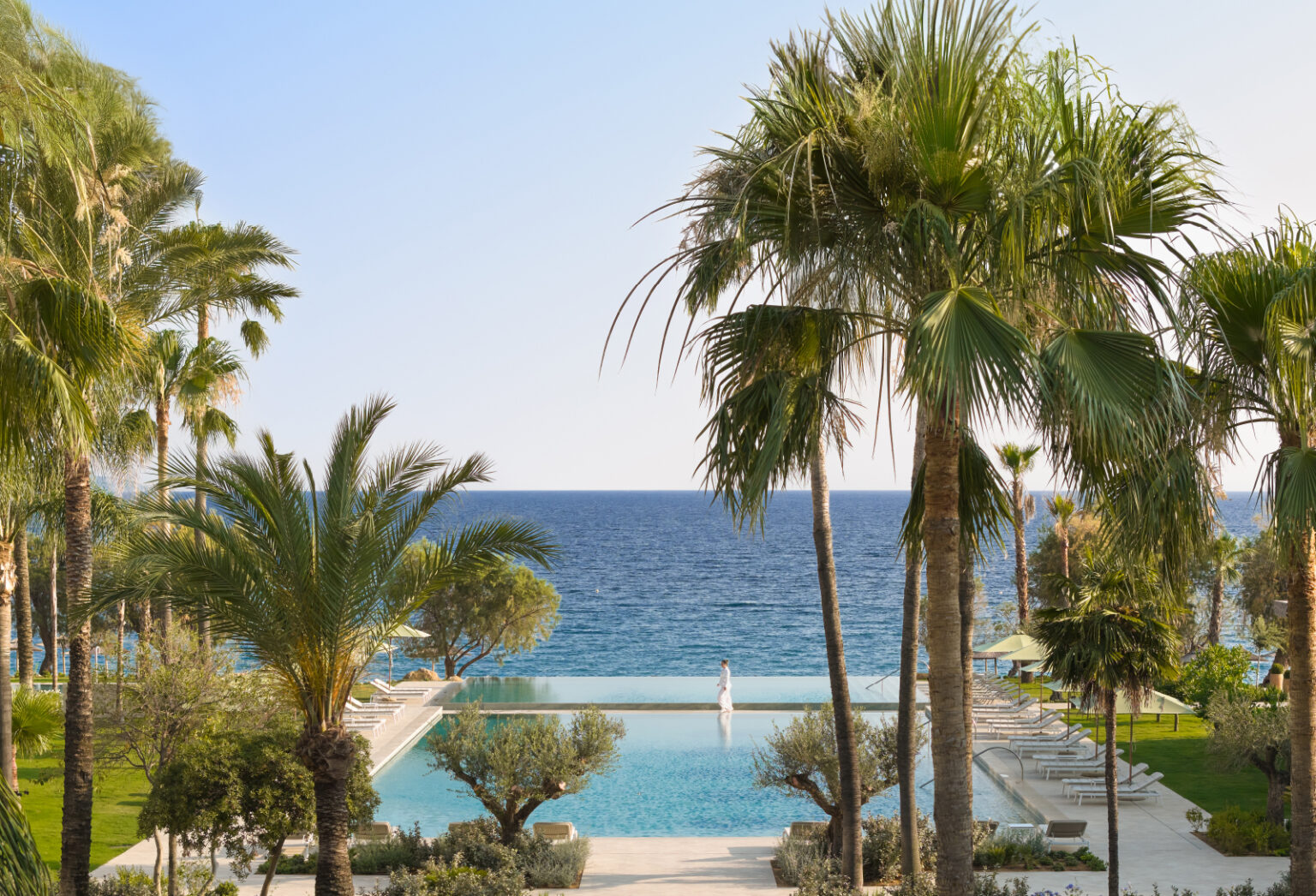 Palm trees overlooking the sea at Filoxenia Kalamata