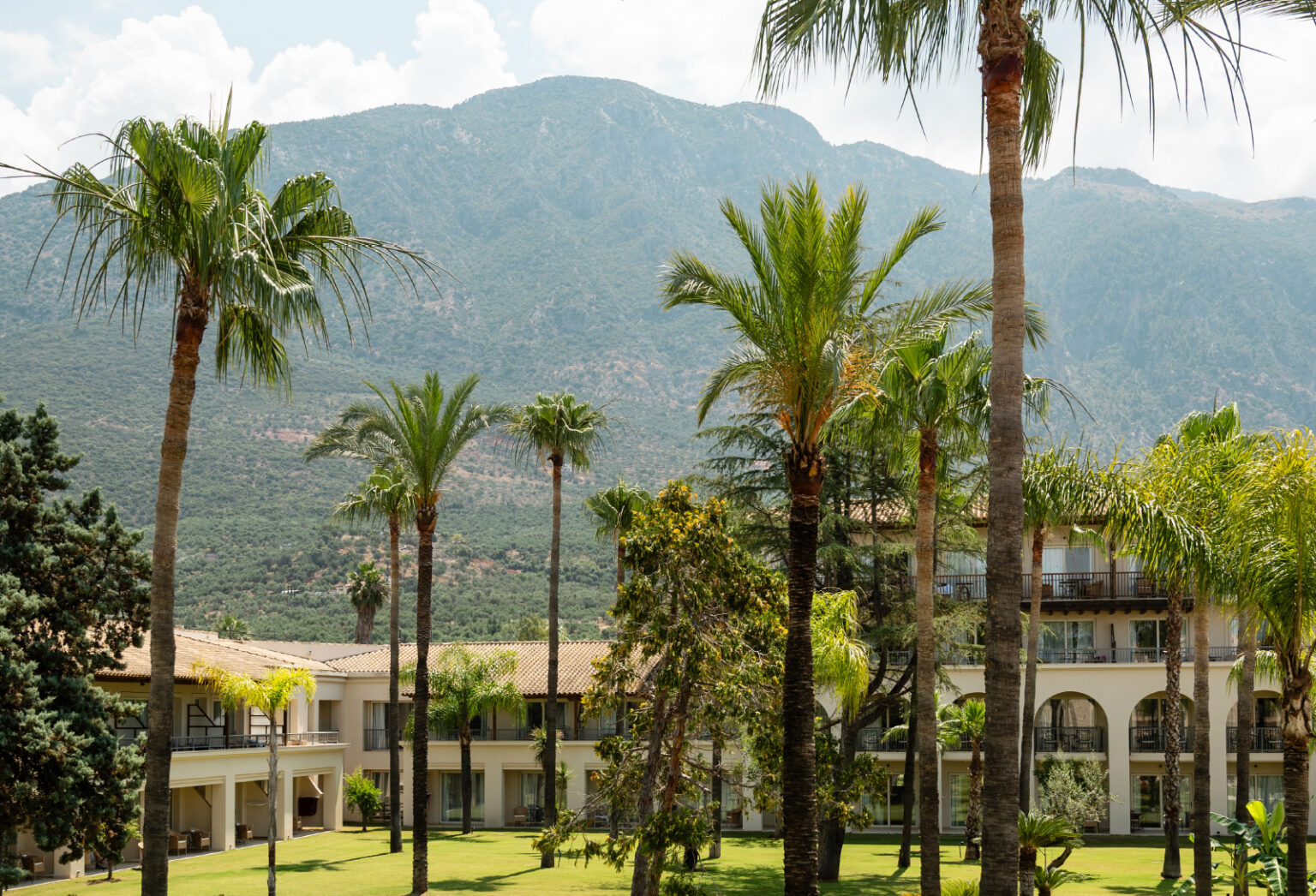 Palm trees and lush surroundings with mountain views