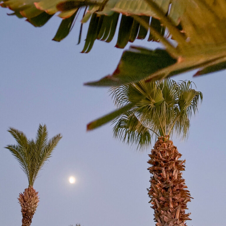 Summer atmosphere at LUXME Kos with pool and relaxation areas