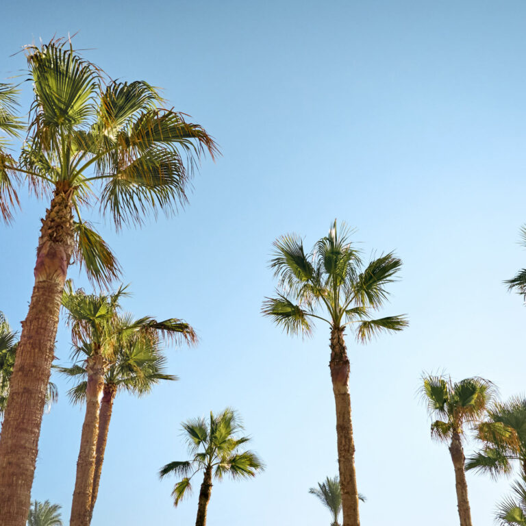 Luxury resort lifestyle at Grecotel Kos
