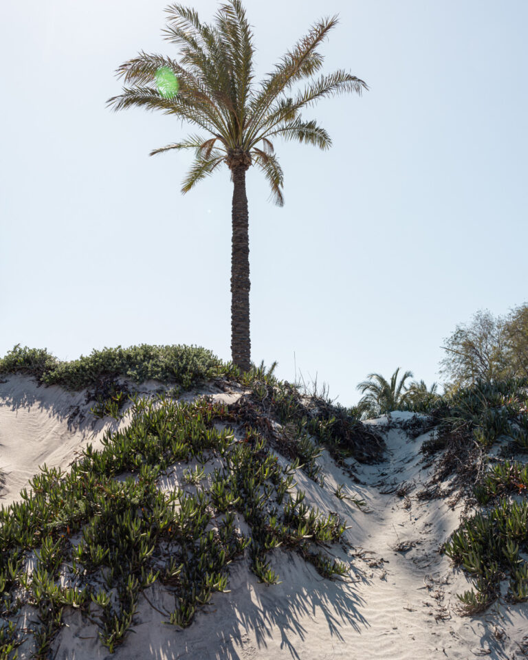 All-inclusive resort at LUXME Kos