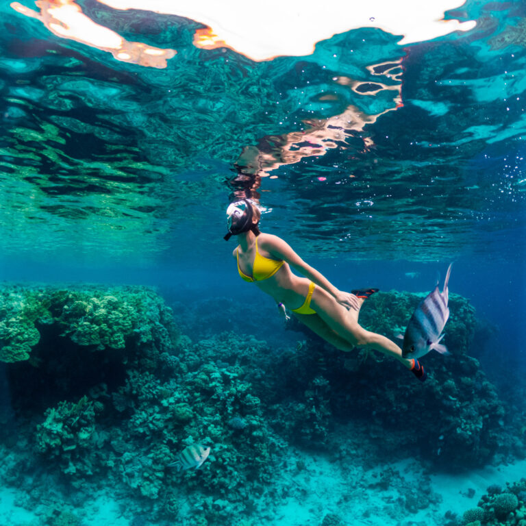Snorkeling and scuba at LUXME Kos