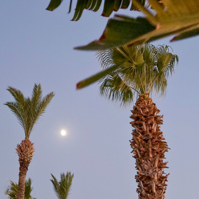 Blue Moon event at LUXME Kos