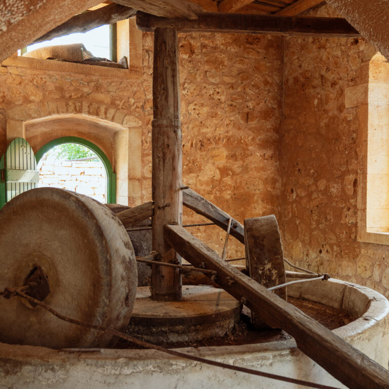 Olive mill visit Kos