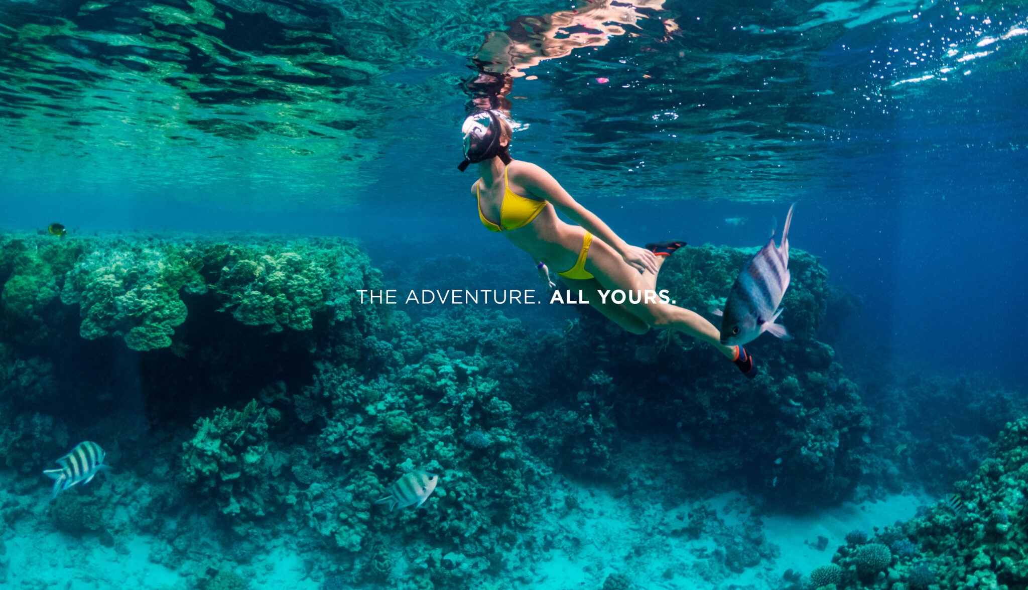 Snorkeller swimming over a reef with fish in the sea.
